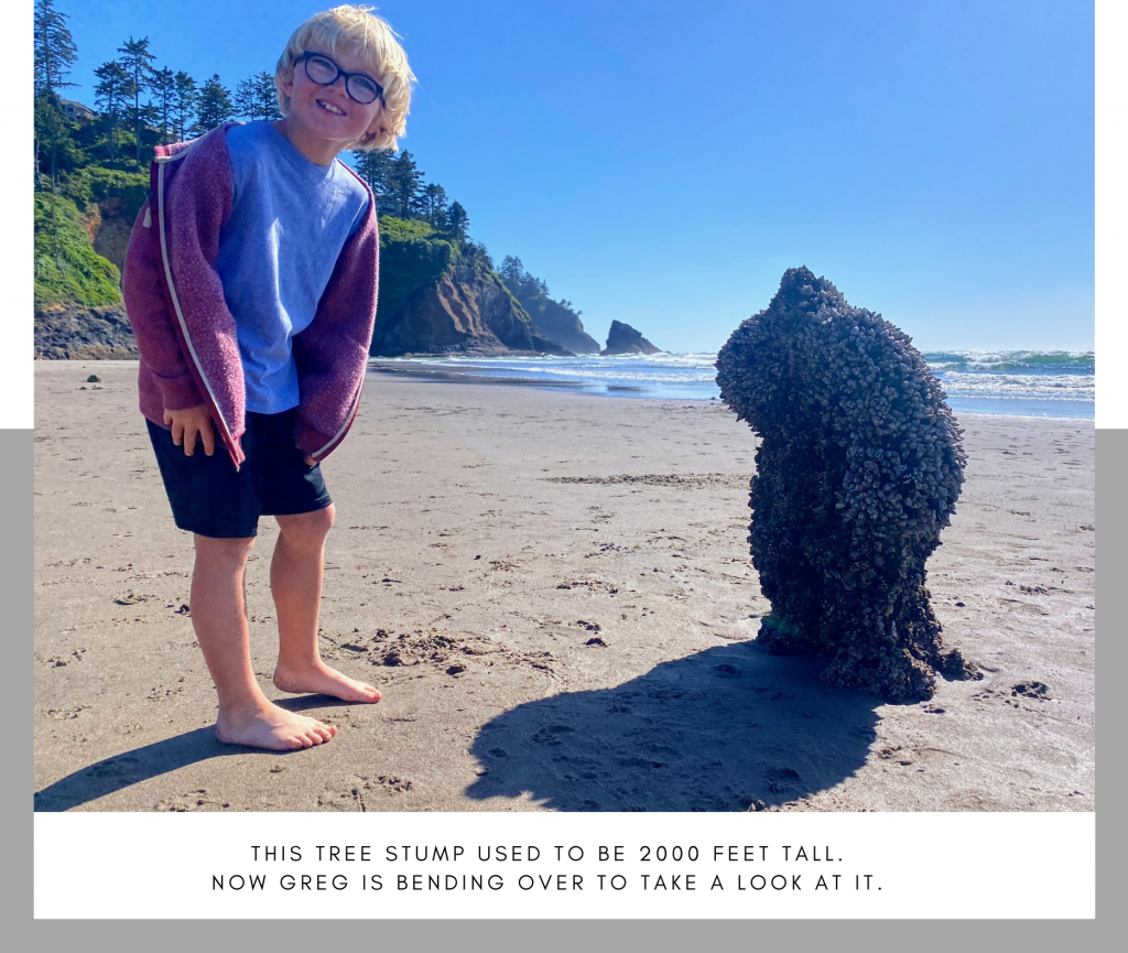 Standing next to a 2000 year old tree stump in the Neskowin Ghost Forest.