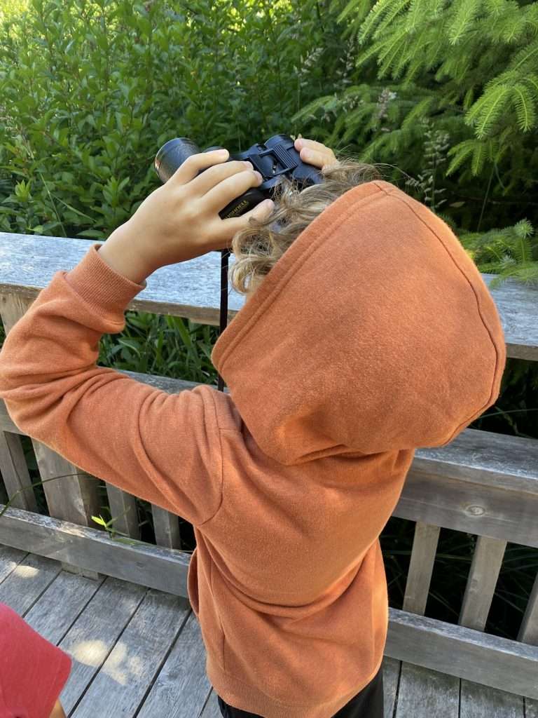 Viewing a nesting osprey with binoculars.