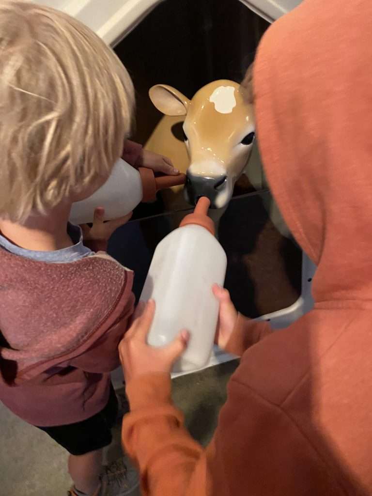 Kids milking a fiberglass dairy cow.