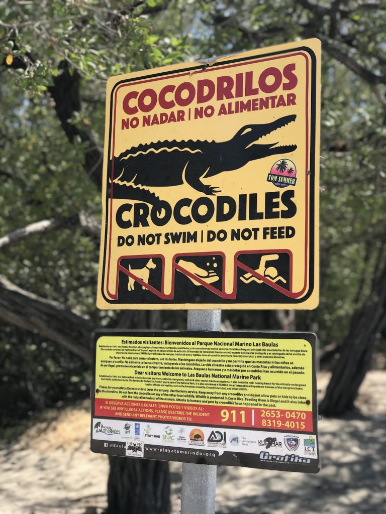 Crocodiles in Mangroves warning sign. 