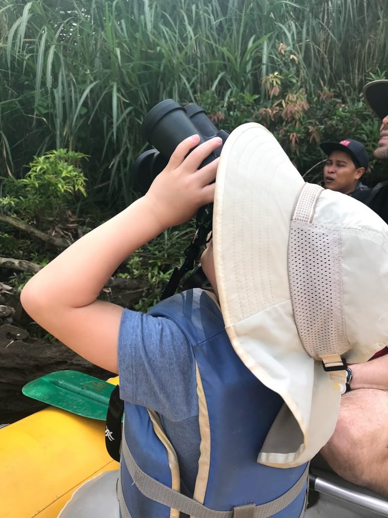 Spotting monkeys with binoculars