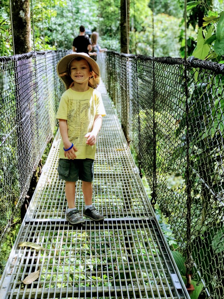 Mistico Hanging Bridges