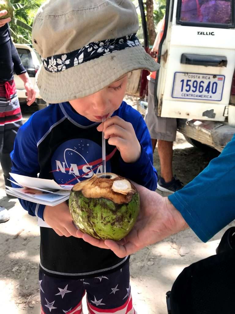 Drinking from a coconut