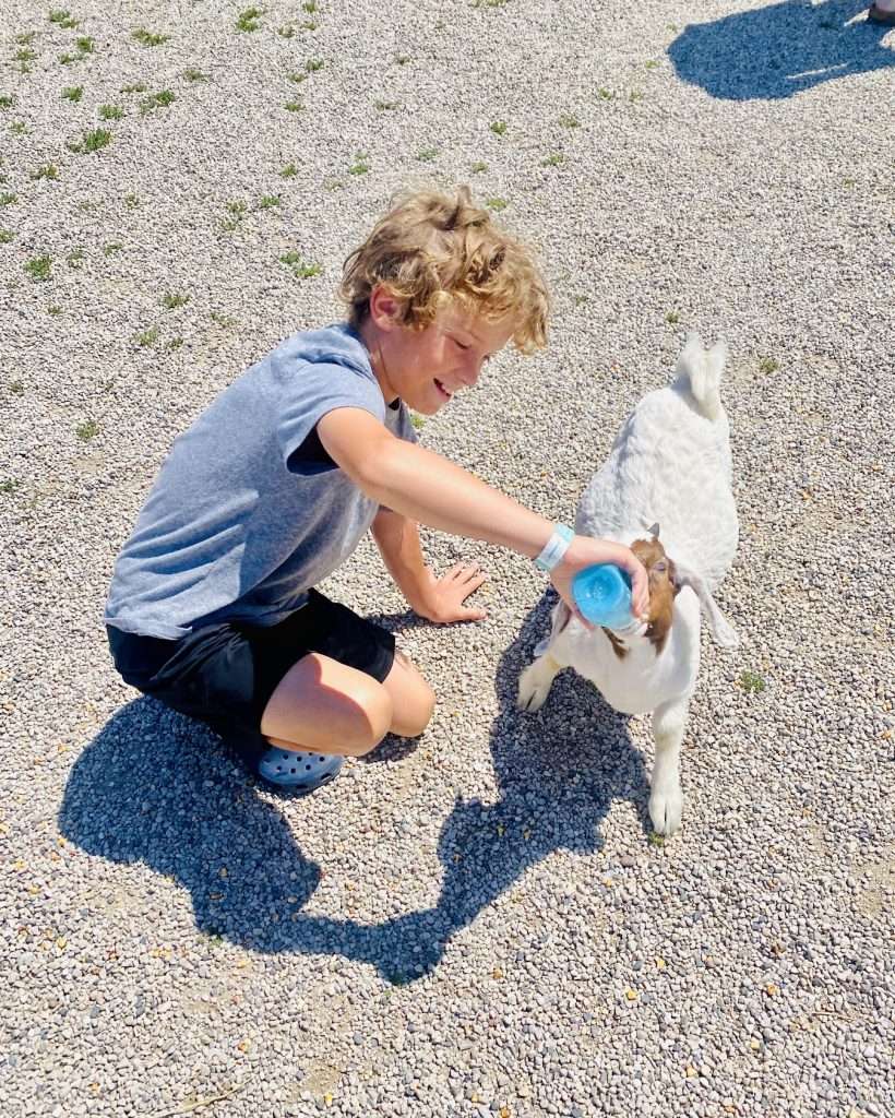 Roy feeding a baby goat at The Farm in Door County, Wisconsin.