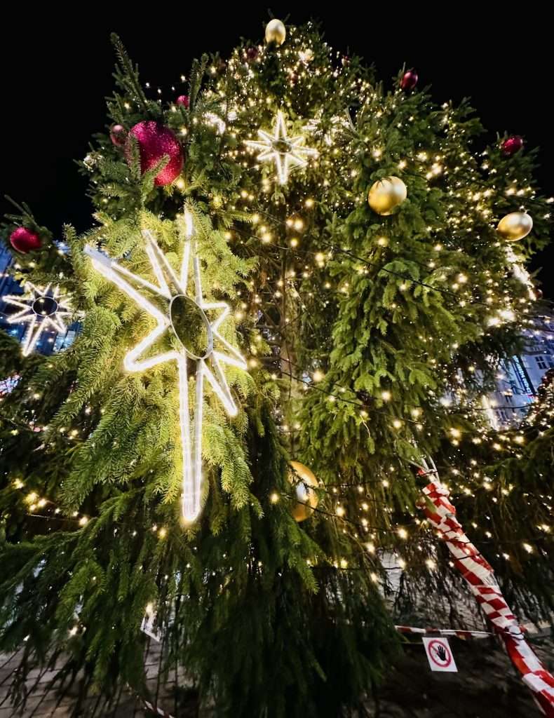 Prague Old Town Christmas Market, Christmas Tree