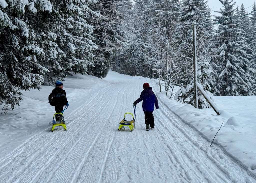 Sledding at Obere Firstalm